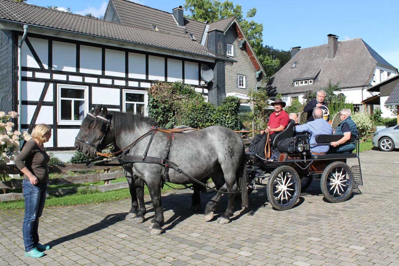 Hotel Mollseifer Hof Winterberg Esterno foto